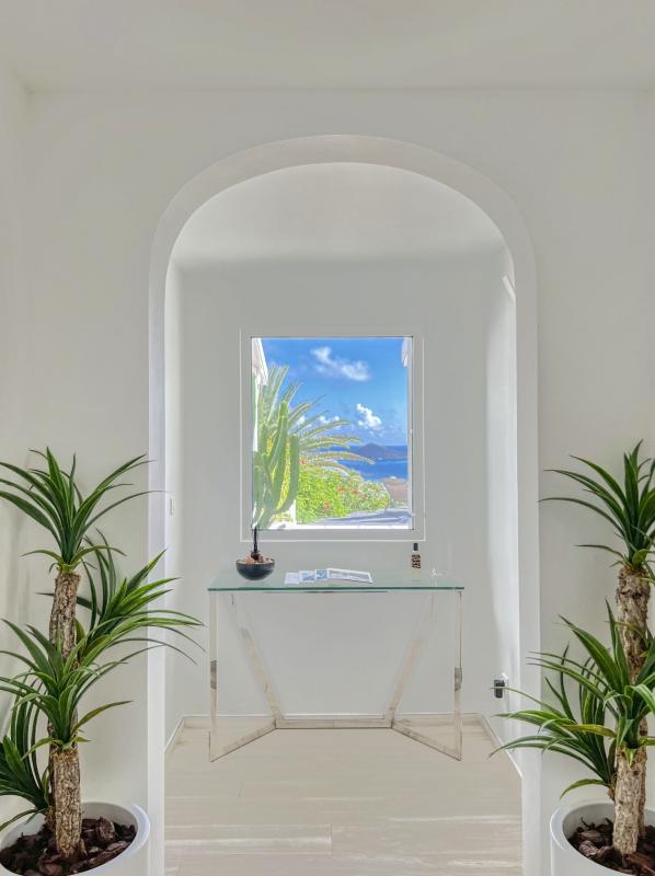 Saint Martin Baie Orientale villa __decoration-24